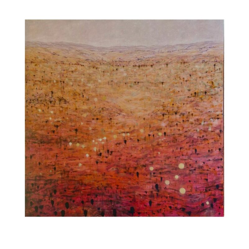 Aureole